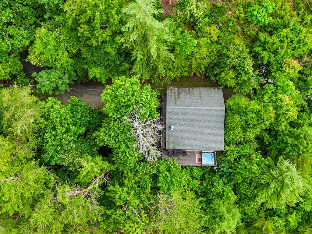 Residential in Blue Ridge