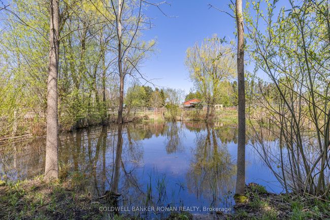 7171 9 Th Line, House other with 5 bedrooms, 4 bathrooms and 15 parking in New Tecumseth ON | Image 36