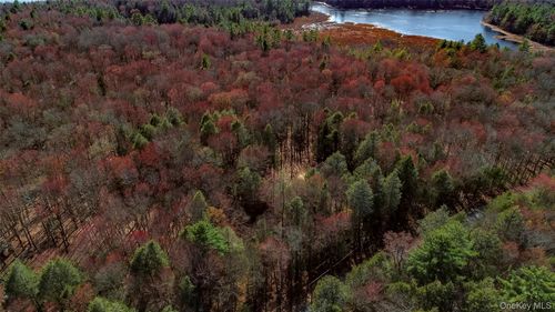 Lot 2 Deer Meadow Road Nys Hwy 17b, Bethel, NY, 12720 | Card Image