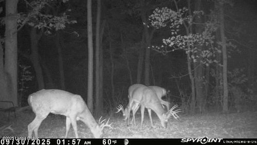 1-32241 Goose Creek Rd, Sanders, KY, 41083 | Card Image