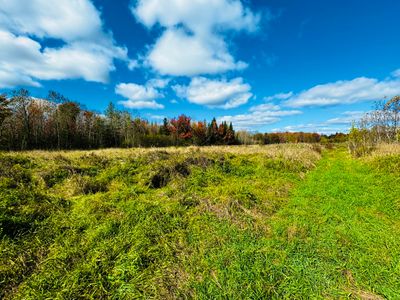 The field that goes back from the main road. | Image 2