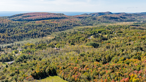 66 Roses Rd, Finland, MN, 55603 | Card Image