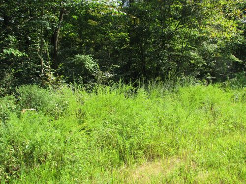 0 Sycamore Landing Rd, Waverly, TN, 37185 | Card Image