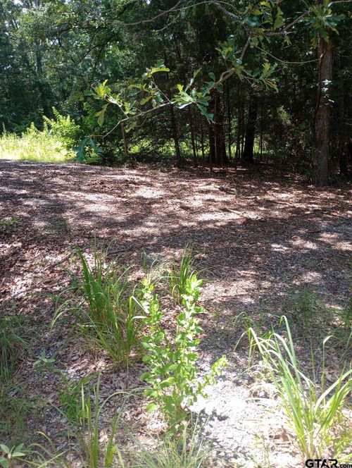 TBD Dogwood Dr, Murchison, TX, 75778 | Card Image