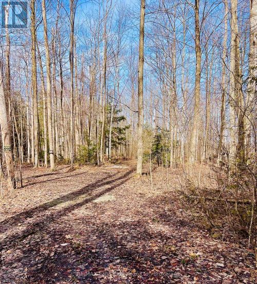36720 River Rd, Lucknow, ON, N0G2H0 | Card Image