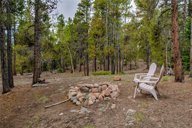 View of yard with a forest view | Image 6