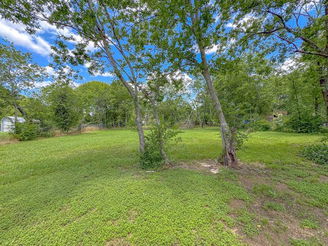 View of green lawn | Image 33