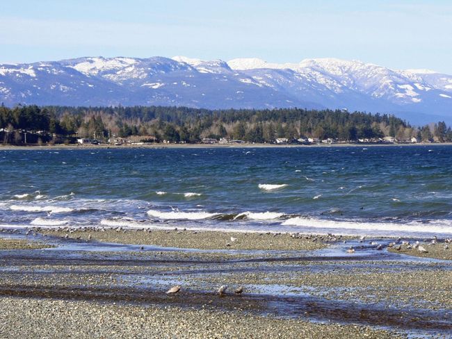 211 - 130 Sunningdale Rd E, Condo with 2 bedrooms, 1 bathrooms and 31 parking in Qualicum Beach BC | Image 44