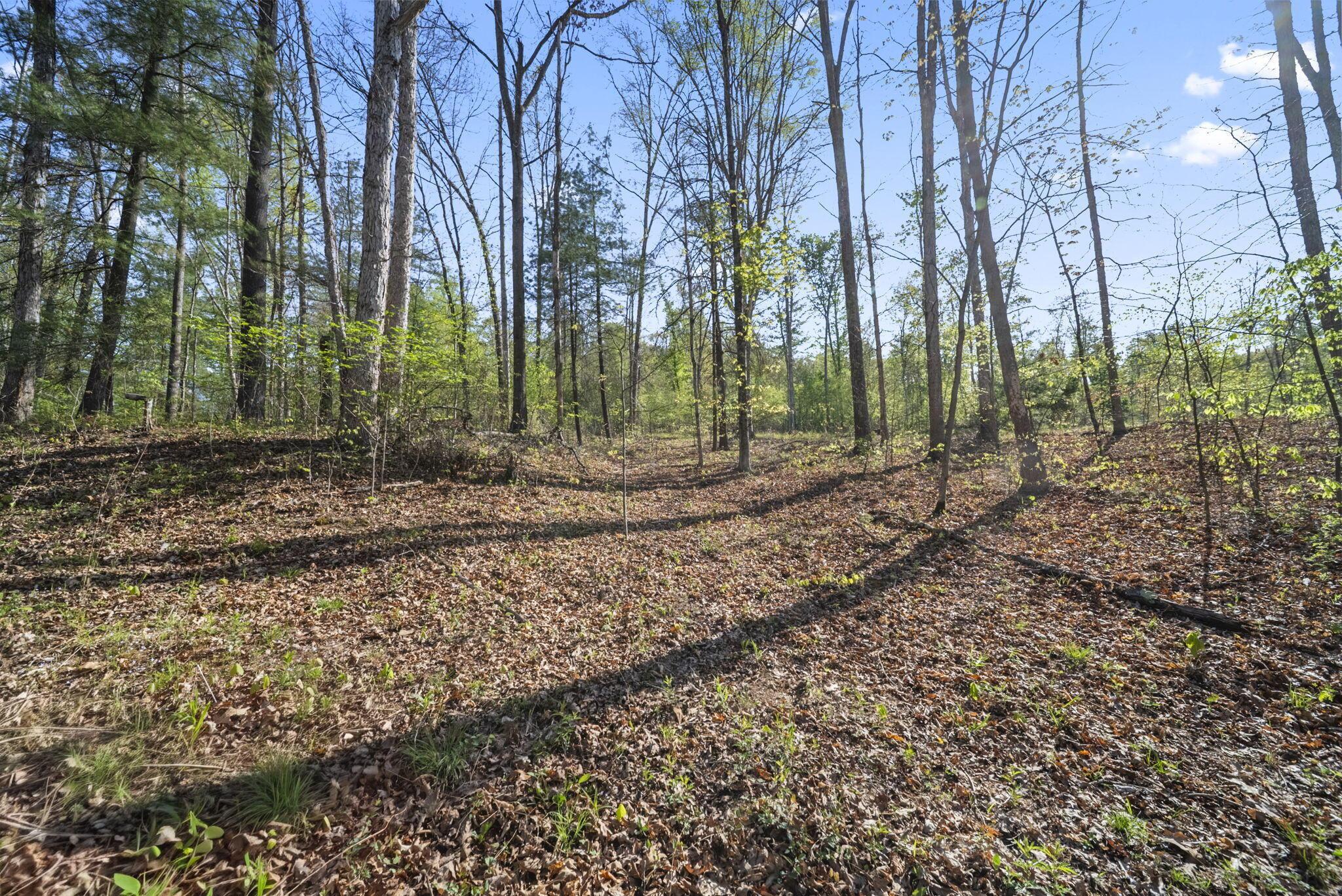 Land in Chillicothe 4
