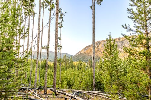 Lot 1 TBD Harris Rd, Anaconda, MT, 59711 | Card Image