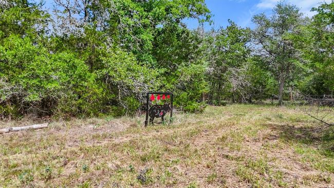 2 shooting targets on the property. | Image 10