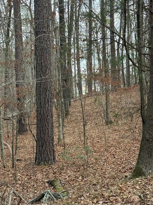 Lot 418 Poinsettia Pl N, Sparta, GA, 31087 | Card Image