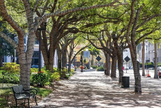 APT-3 - 200 Cocoanut Ave, Townhouse with 2 bedrooms, 3 bathrooms and null parking in Sarasota FL | Image 32