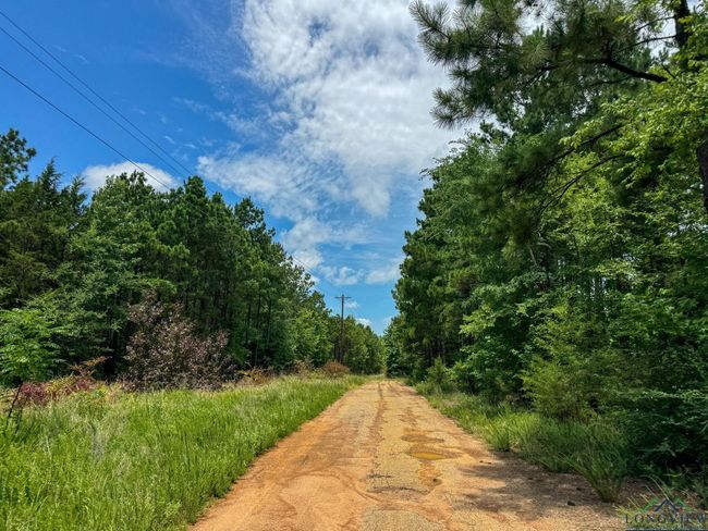 0000 Fm 3421, Home with 0 bedrooms, 0 bathrooms and null parking in Lone Star TX | Image 38