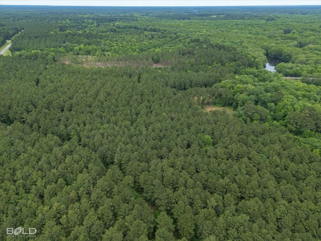 0 Highway 157, Home with 0 bedrooms, 0 bathrooms and null parking in Benton LA | Image 7