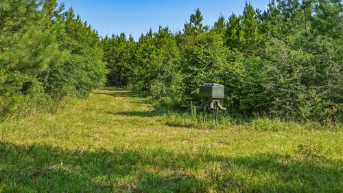 0 Harry Priddy Road, americus, GA, 31719 | Card Image