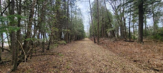 Lt0 E State Highway M35, Home with 0 bedrooms, 0 bathrooms and null parking in INGALLSTON MI | Image 20