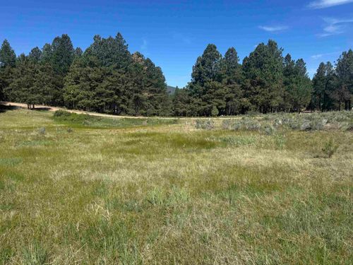 Lot 8 Blk D Jackson Hole, Angel Fire, NM, 87710 | Card Image
