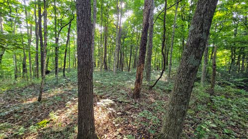 0 Lovers Lane Rd, Bennington, IN, 47011 | Card Image