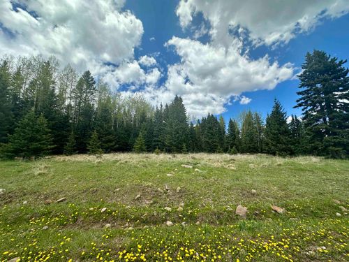 15 Pleasant Meadow Dr, Angel Fire, NM, 87710-8209 | Card Image