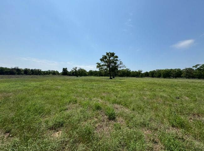 View of nature featuring a rural view | Image 10