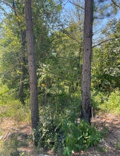 Land in Broken Bow 3