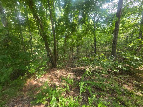 L10B4 Anadarko Dr, Cherokee Village, AR, 72529 | Card Image