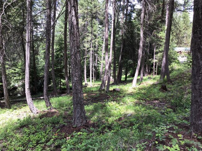 Trees | Image 25