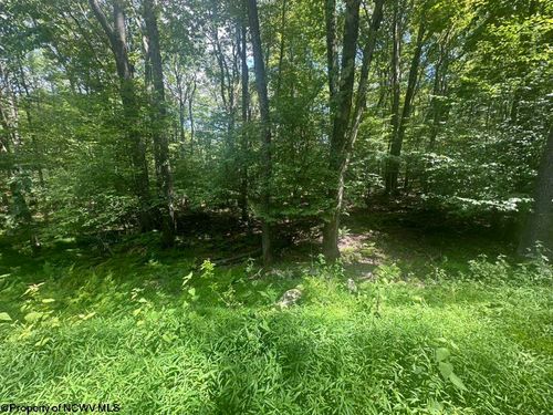lot-222-222 Woodbine Dr, Terra Alta, WV, 26764 | Card Image