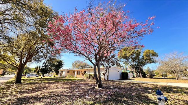 1516 Dove Dr, House other with 3 bedrooms, 2 bathrooms and null parking in ORLANDO FL | Image 4