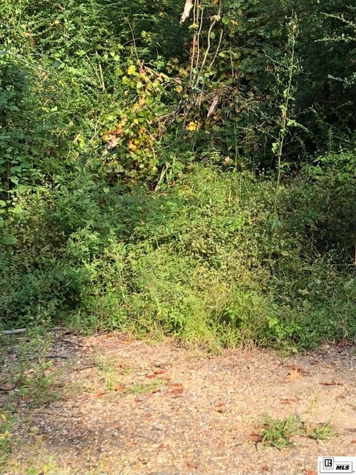 0 Braebend Dr, Monroe, LA, 71203 | Card Image