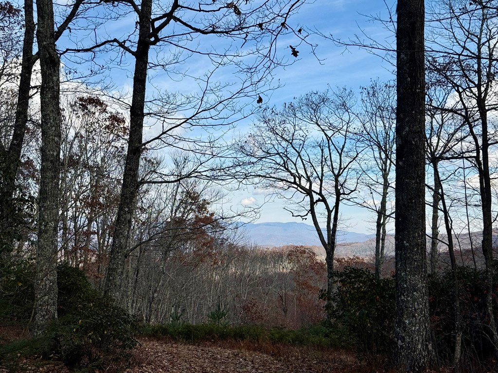 Land in Glenville 5
