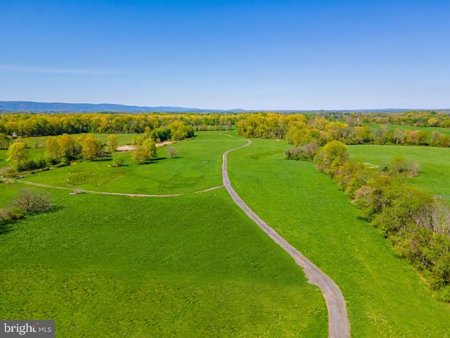 8160 Frogtown Rd, Home with 0 bedrooms, 0 bathrooms and null parking in MARSHALL VA | Image 9