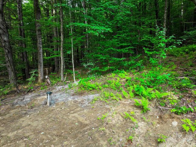 Lot 4 Piney Grove Ln, Home with 0 bedrooms, 0 bathrooms and null parking in Underhill VT | Image 8