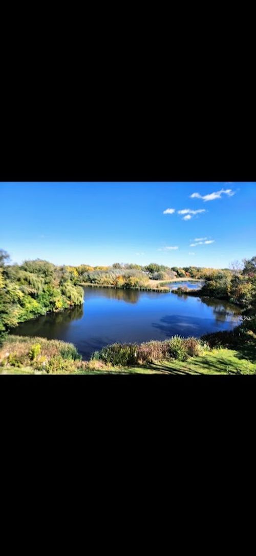 504-505 Redondo Dr, Downers Grove, IL, 60516-4585 | Card Image
