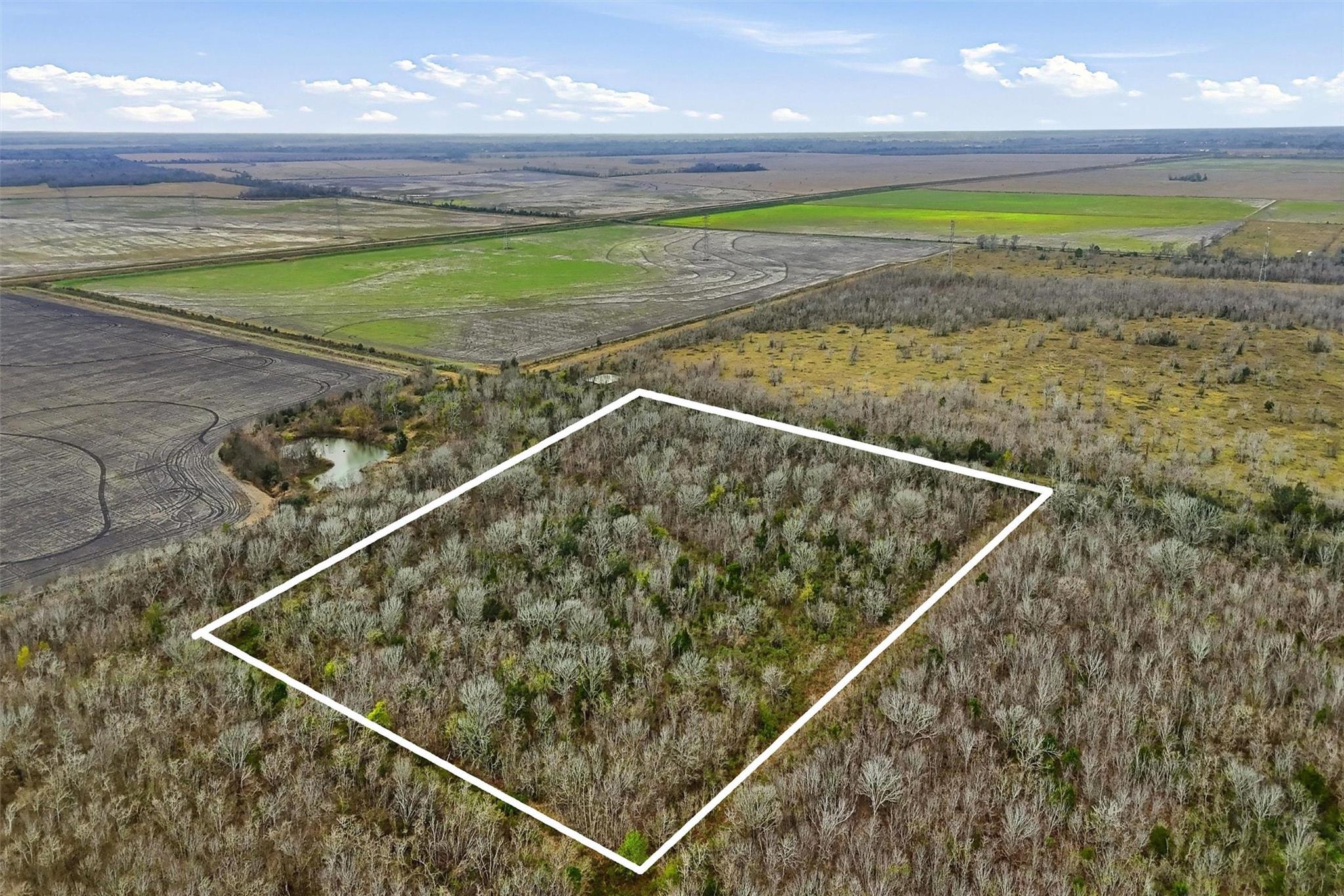Land in Alvin 4
