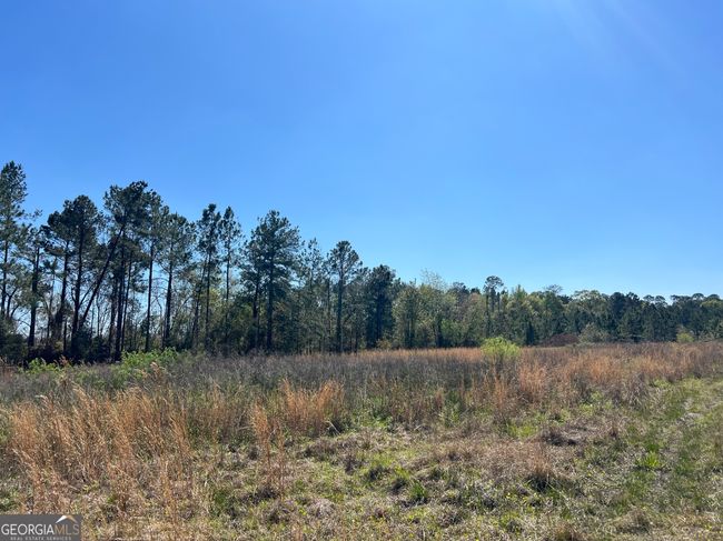 142 Norman Cole Rd, Home with 0 bedrooms, 0 bathrooms and null parking in Nicholls GA | Image 13