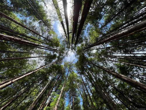 55 Lands End Rd, Malcolm Island, BC, V0N3E0 | Card Image