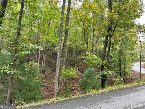 w16-0 Lower Gap Rd, Sautee Nacoochee, GA, 30571 | Card Image