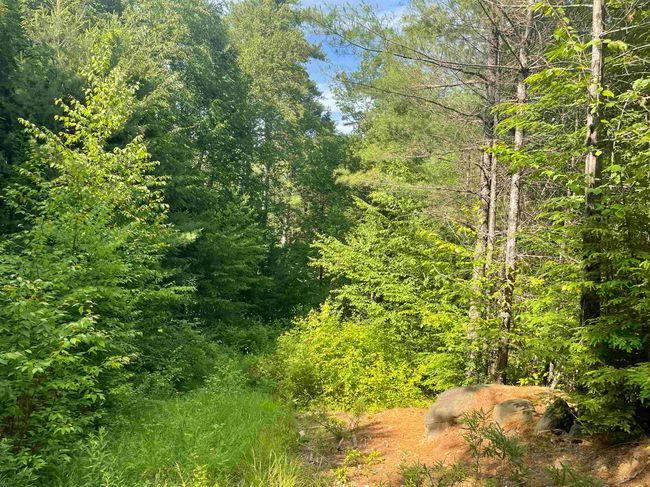 63 New Boston Rd, Home with 0 bedrooms, 0 bathrooms and null parking in Francestown NH | Image 5