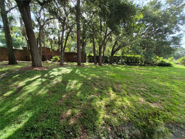 side yard , 1/3rd acre | Image 14