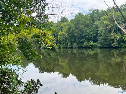 451 Percy Vines Rd, QUINTON, AL, 35130 | Card Image