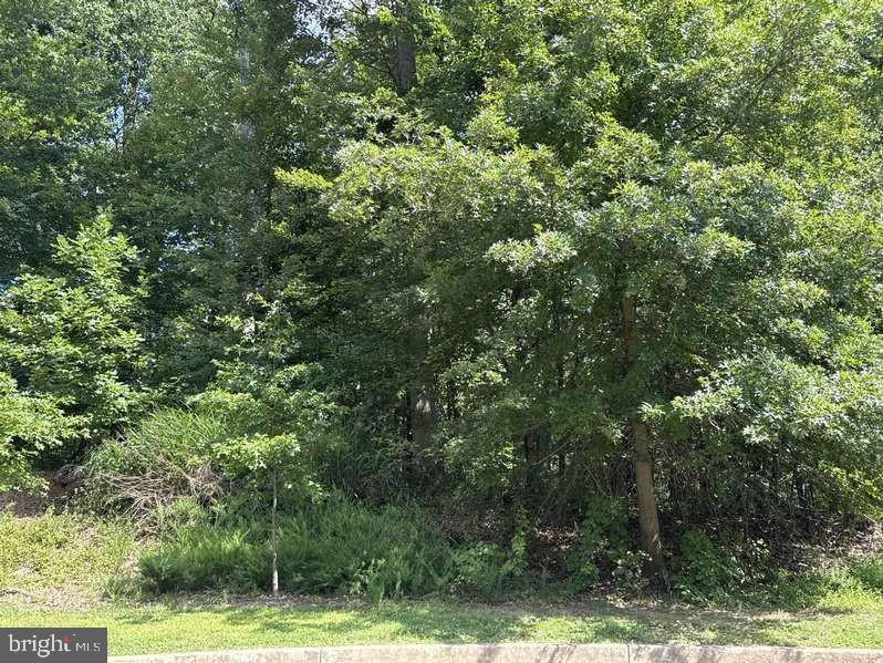 Land in OWINGS MILLS 3