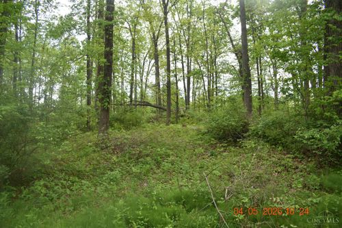 209 Schlitz Dr, Fayetteville, OH, 45118 | Card Image