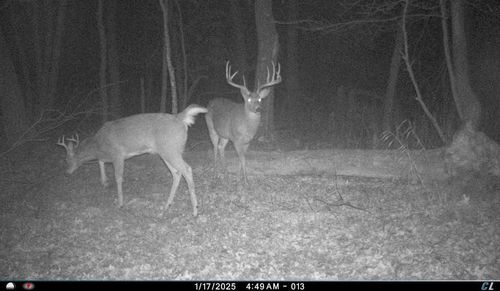 N8510 Fish Rd, New Lisbon, WI, 53950-9774 | Card Image