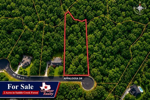17847 Apaloosa Dr, Waller, TX, 77484-1579 | Card Image