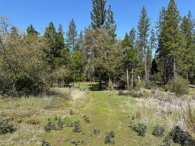 19292 Shawnee Trl, Home with 0 bedrooms, 0 bathrooms and null parking in Mokelumne Hill CA | Image 60