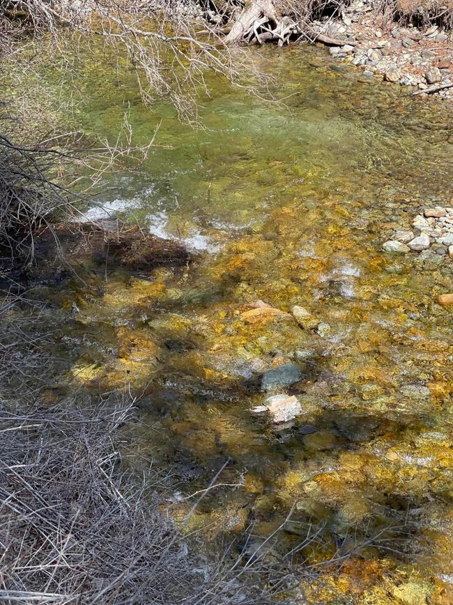 Piper Creek | Image 36