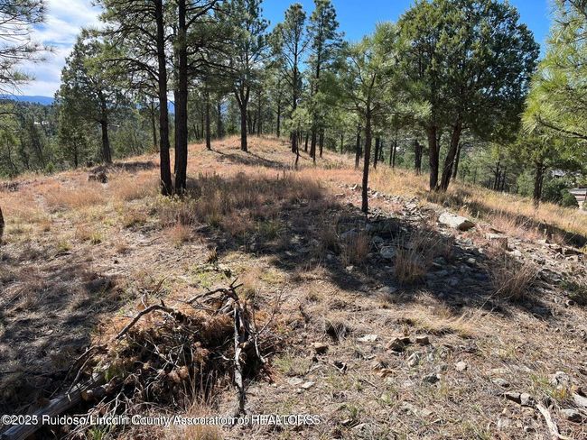 118 Charles Mcclellan Dr, Home with 0 bedrooms, 0 bathrooms and null parking in Ruidoso NM | Image 7