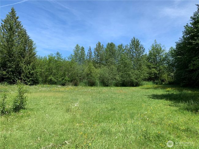 Photo is of the additional 5-acre parcel included with the sale. Access to this lot is from the cul-de-sac, which is off to the right in the photo. | Image 38